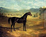 John Frederick Herring Snr The Bay Stallion Jack Spigot painting